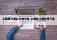 上海区块链公司哪个好[上海区块链软件开发]