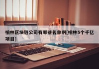 榆林区块链公司有哪些名单啊[榆林5个千亿项目]